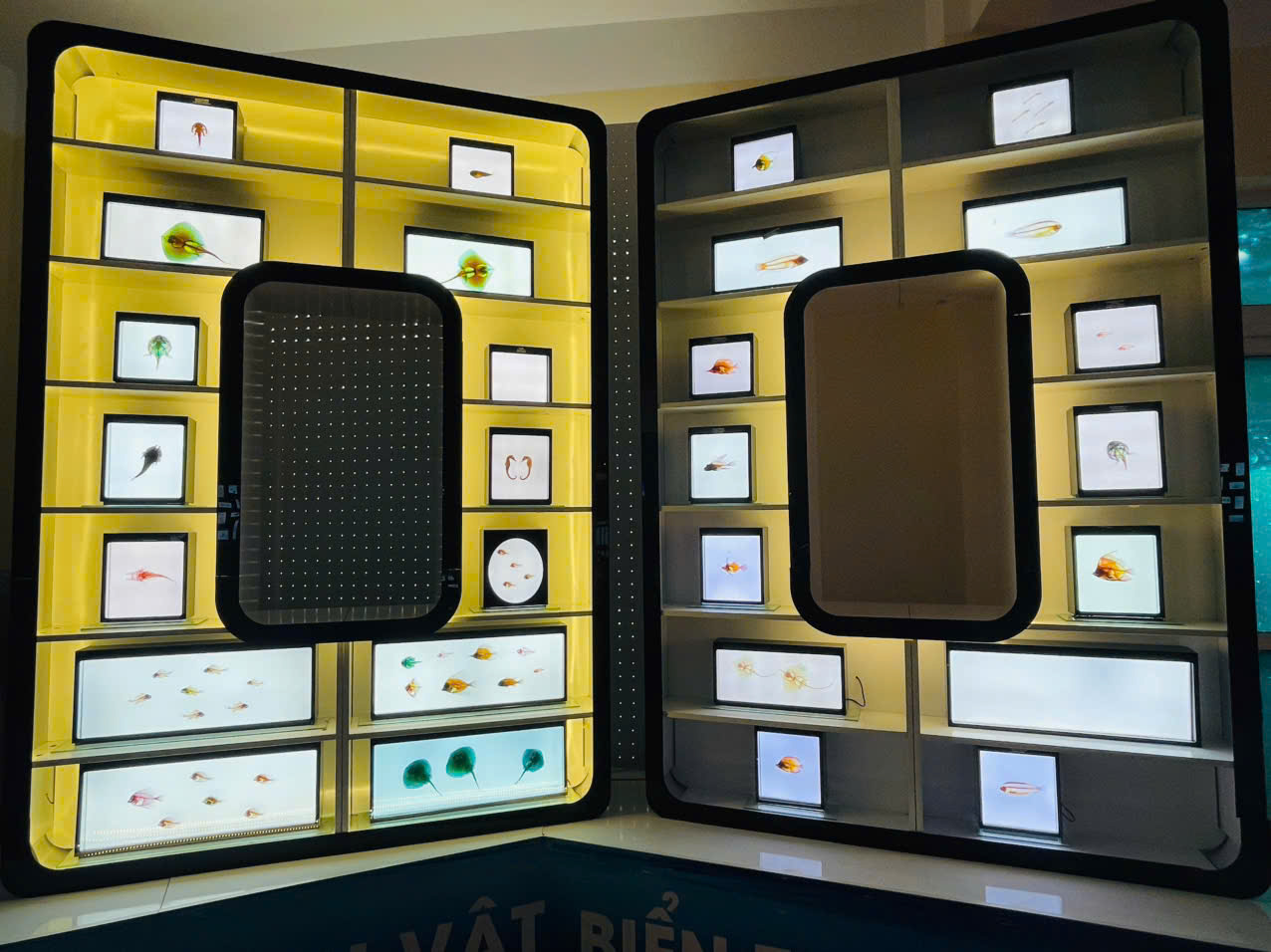 DU LỊCH NHA TRANG 2025