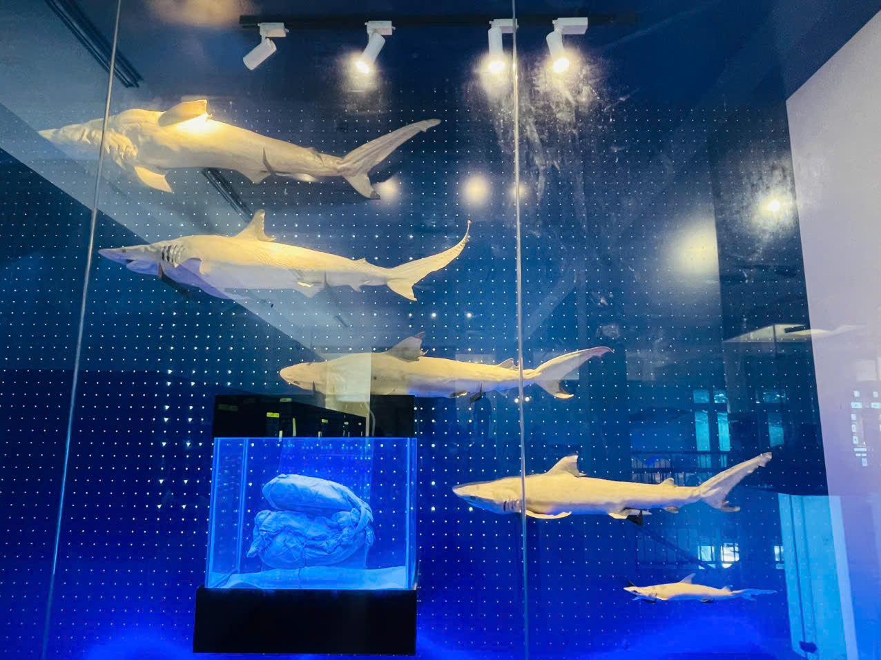 DU LỊCH NHA TRANG 2025